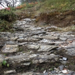 Über Stock und Stein