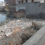 einem nicht mehr ...