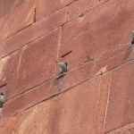 "Guck mal, Touris aus Tangstedt"