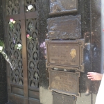 Frische Blumen für Evita