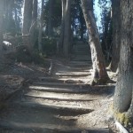 Treppen?!! Kennen wir ...