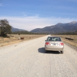 Und ewig lockt die Piste