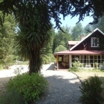 Kaffee und Kuchen...