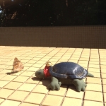 2015-03-09-10h44m36_klein