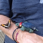 2015-03-09-10h50m27_klein