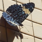 2015-03-12-07h51m16_klein