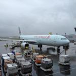 Schmuddelwetter in Montréal
