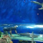 Achtung! Oben rechts!