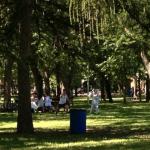 Tai Chi im Parc la Fontaine