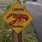 2017-08-06_kanada-10