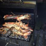 2017-08-07_kanada-14