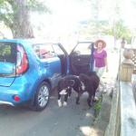 2017-08-09_kanada-29