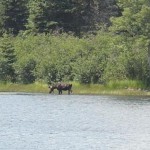 2017-08-10_kanada-37a