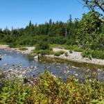 photo_2017-08-08_10-31-28